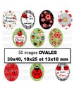 coccinelle rouge vert noir Images pour cabochon Ovales