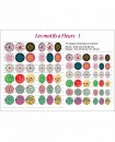 Motif fleuri Images cabochons Rondes ovales multicolore